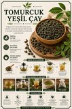 Yeşil Çay Tomurcuk 100 gr, Doğal Kurutulmuş Green Tea Camellia Sinensis