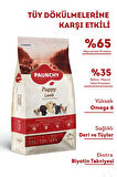 Paunchy Kuzu Etli Yavru Köpek Maması 15 Kg