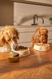 Kito Fresh Kuzu Etli Köpek Yemeği %100 Taze İçerikli Mama 250 gr