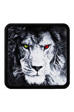 Aslan Logolu