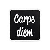 V1 Carpe Diem - 1 Kod Logolu Unisex Siyah-Beyaz Bench (Patch)