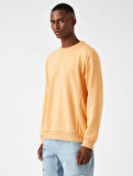Basic Sweatshirt Bisiklet Yaka