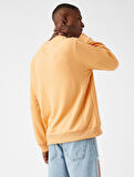 Basic Sweatshirt Bisiklet Yaka