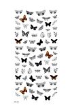 Siyah Kelebekler Tırnak Dövmesi, Tırnak Tattoo, Nail Art, Tırnak Sticker