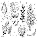 Butterfly -2 Geçici Dövme,Geçici Tattoo ,Vücut Dövme,Kol Bilek Dövme,Boyun Dövme,Sırt Dövme