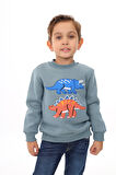 Toontoy Erkek Çocuk Nakışlı Sweatshirt