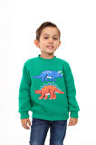 Toontoy Erkek Çocuk Nakışlı Sweatshirt
