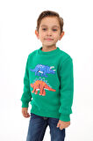 Toontoy Erkek Çocuk Nakışlı Sweatshirt