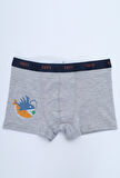 Toontoy Erkek Çocuk Çok Desenli 4lü Paket Boxer 