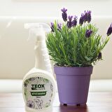 TeoxFarm Bitki Besin & Vitamin Spreyi 750ML