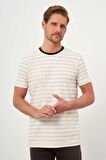 Erkek Bej Trend Natur Çizgili Bisiklet Yaka Dynamic Fit T-Shirt