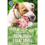 Vetürel Kedi Köpek Ağız ve Diş Bakım Spreyi 100 ml