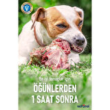 Kedi Köpek Ağız Kokusu Kedi Dis Macunu Ağız Diş Bakım Spreyi - Göz Bakım Solüsyonu Set
