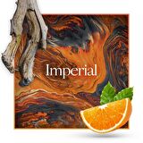 JOURE PERFUME - Imperial Pudralı Kremsi Odunsu Kokulu 100ml Kalıcı Extrait De Parfum Unisex Parfüm
