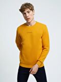 LF2034268 Loft Erkek Sweat SAFRAN YELLOW