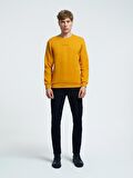 LF2034268 Loft Erkek Sweat SAFRAN YELLOW