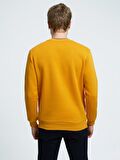 LF2034268 Loft Erkek Sweat SAFRAN YELLOW