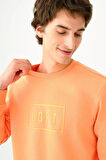 Loft Erkek Sweatshirt LF2037097