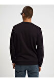 Regular Fit Erkek Sweatshirt