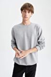 DeFacto Regular Fit Sweatshirt S8194AZ22WNGR210