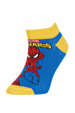 DeFacto Erkek Çocuk Marvel Spiderman 3'lü Pamuklu Patik Çorap Z9028A6NSKR1