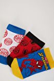 DeFacto Erkek Çocuk Marvel Spiderman 3'lü Pamuklu Patik Çorap Z9028A6NSKR1