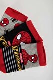 Erkek Çocuk Marvel Spiderman 3'lü Pamuklu Patik Çorap