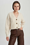DeFacto Regular Fit V Yaka Triko Hırka R1389AZ23WNBG371