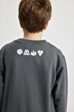 DeFacto Erkek Çocuk Avatar the Last Airbender Kapüşonlu Sweatshirt B2216A823WNAR58