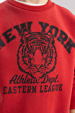 DeFacto Erkek Çocuk Bisiklet Yaka Baskılı Sweatshirt B7822A8NSBR66