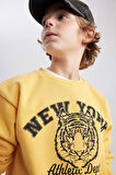 DeFacto Erkek Çocuk Bisiklet Yaka Baskılı Sweatshirt B7822A8NSYL275