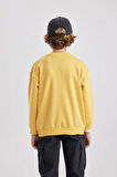 DeFacto Erkek Çocuk Bisiklet Yaka Baskılı Sweatshirt B7822A8NSYL275