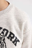 DeFacto Erkek Çocuk Bisiklet Yaka Baskılı Sweatshirt B7822A8NSGR400