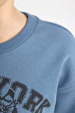 DeFacto Erkek Çocuk Bisiklet Yaka Baskılı Sweatshirt B7822A8NSIN242