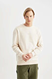 DeFacto Boxy Fit Bisiklet Yaka Baskılı Sweatshirt C2207AX24SPBG700