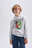 DeFacto Erkek Çocuk Dragon Ball Kapüşonlu Sweatshirt B9860A823CWGR400