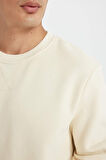 DeFacto Regular Fit Bisiklet Yaka Kalın Basic Düz Sweatshirt T3777AZ24AUER109