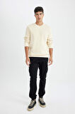 DeFacto Regular Fit Bisiklet Yaka Kalın Basic Düz Sweatshirt T3777AZ24AUER109