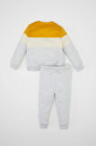 DeFacto Erkek Bebek 2'li Takım Renk Bloklu İçi Yumuşak Tüylü Sweatshirt Eşofman Altı Y1410A224AUGR398