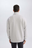 DeFacto Gri 3 İplik Pamuklu Şardonlu İçi Polarlı Comfort Regular Fit Rahat Kalıp Dik Yaka Fermuarlı Kalın Sweatshirt D9067AXNSGR253