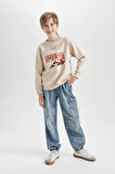 DeFacto Erkek Çocuk Marvel Comics Bisiklet Yaka Kalın Sweatshirt D6741A824WNBG702