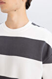 DeFacto Boxy Fit Bisiklet Yaka Çizgili Sweatshirt A9066AX24AUAR216