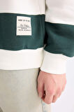 Erkek Antrasit Boxy Fit Bisiklet Yaka Çizgili Sweatshirt