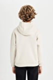 DeFacto Erkek Çocuk NBA Miami Heat Kapüşonlu Sweatshirt D3143A824AUER37