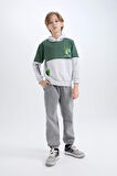 DeFacto Erkek Çocuk Minecraft Kapüşonlu Sweatshirt D6746A824WNGR400
