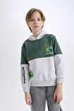 DeFacto Erkek Çocuk Minecraft Kapüşonlu Sweatshirt D6746A824WNGR400