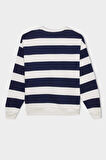 DeFacto Relax Fit Bisiklet Yaka Çizgili Kalın Sweatshirt A1883AX24AUNV42