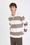 DeFacto Boxy Fit Fermuarlı Yaka Çizgili Sweatshirt C7045AX24AUBG73