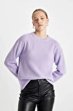 Regular Fit Bisiklet Yaka Triko Basic Kazak