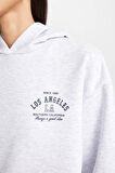 DeFacto Regular Fit Kapüşonlu Baskılı Kalın Sweatshirt D6720AX24WNGR93
